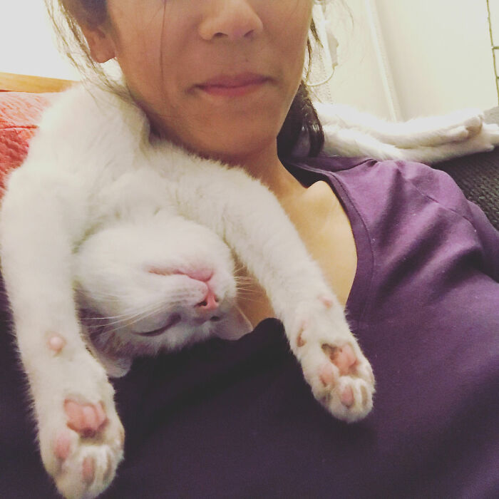 This Is How My Roommates Cat Decided To Sleep On Me Today