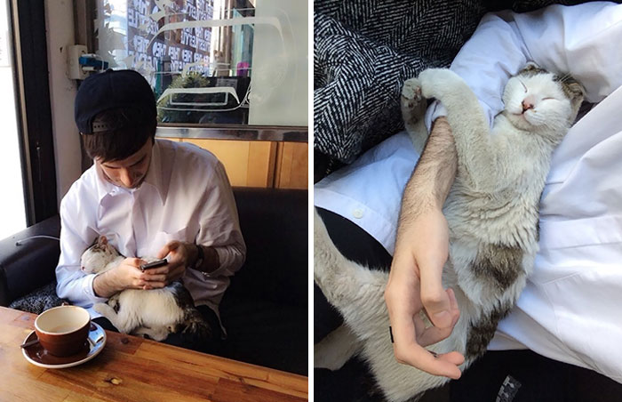 A Stray Cat Walked Into A Cafe And Decided To Take A Nap In My Arms