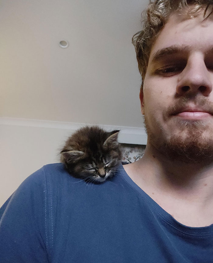 Coco Likes To Nap Like A Birdy