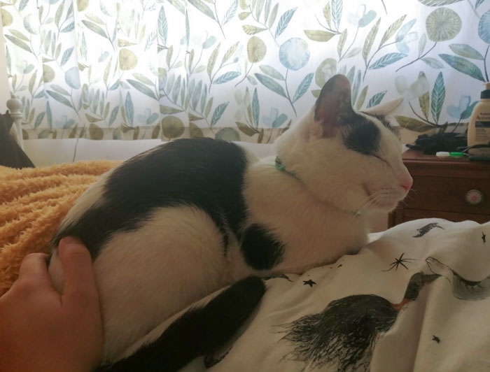 This Morning She Took A Picture Of Him Napping On Me As I Slept. My Heart Is So Full Right Now