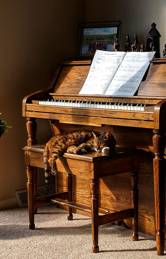 Having A Nap In The Sun, Really Liked How This Photo Looks
