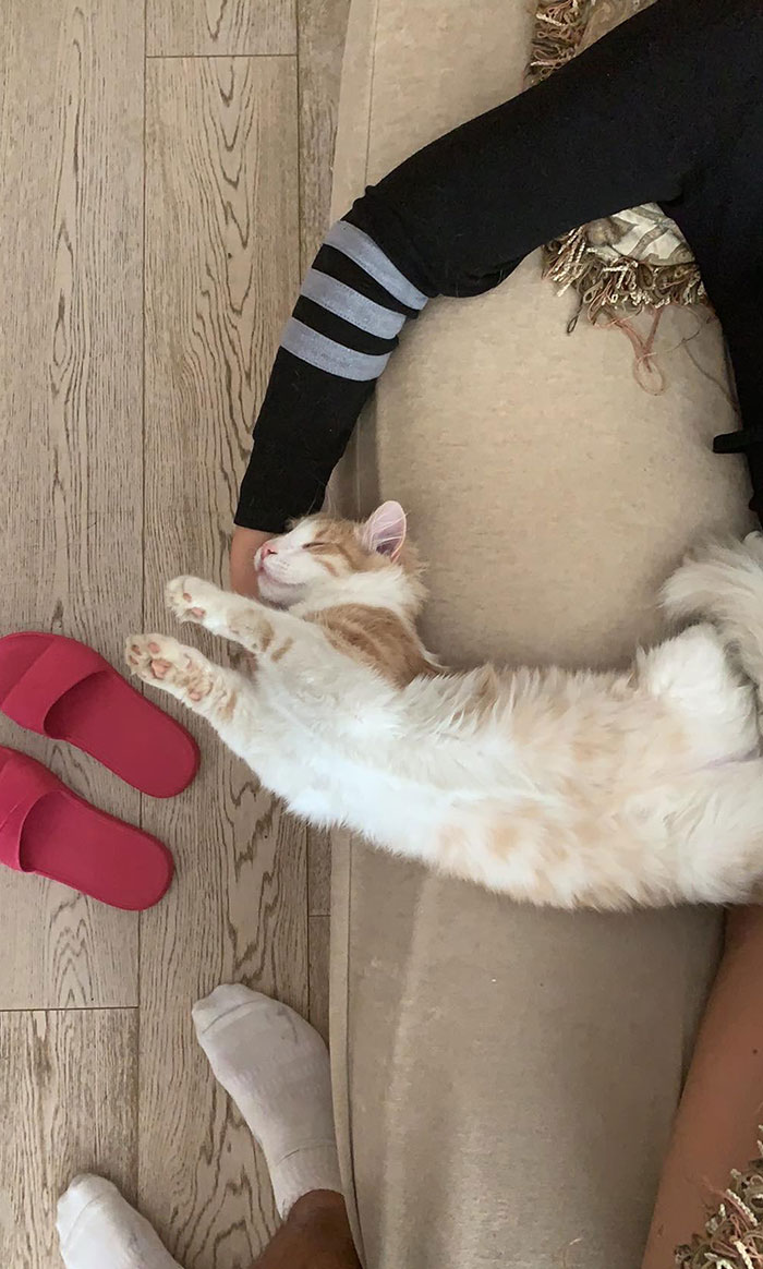 My Little Man Rolls Off The Edge Of The Couch While He Sleeps. My Girlfriend’s Arm Is Exhausted But She Doesn’t Have The Heart To Wake Him