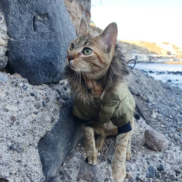 Red Beach, Santorini, Greece