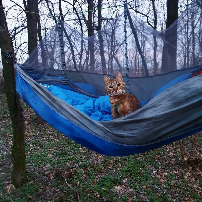 Velika Plana, Serbia