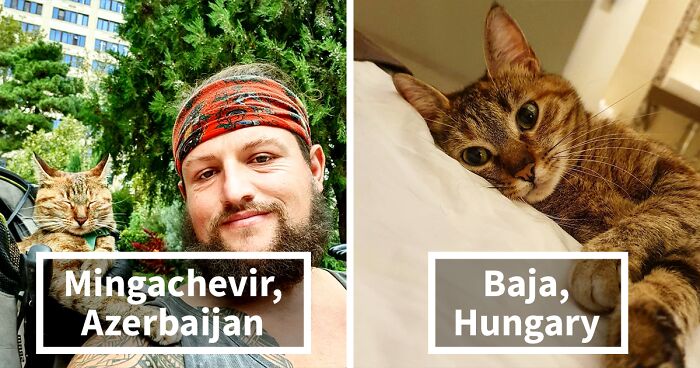 Scottish Man Decides To Cycle Across The Globe Solo, But Finds A Stray Cat Who Accompanies Him (30 Pics)