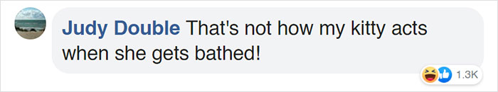 This Grandpa-To-Be Shows His Son How To Bathe A Baby By Using A Cat As An Example This Grandpa-To-Be Shows His Son How To Bathe A Baby By Using A Cat As An Example