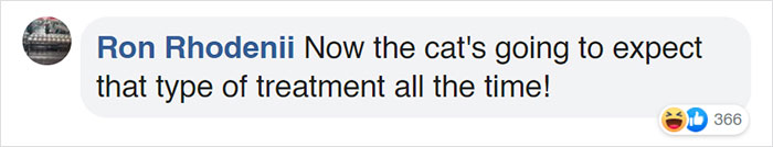 This Grandpa-To-Be Shows His Son How To Bathe A Baby By Using A Cat As An Example This Grandpa-To-Be Shows His Son How To Bathe A Baby By Using A Cat As An Example