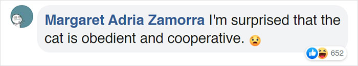 This Grandpa-To-Be Shows His Son How To Bathe A Baby By Using A Cat As An Example This Grandpa-To-Be Shows His Son How To Bathe A Baby By Using A Cat As An Example