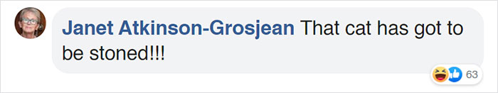 This Grandpa-To-Be Shows His Son How To Bathe A Baby By Using A Cat As An Example This Grandpa-To-Be Shows His Son How To Bathe A Baby By Using A Cat As An Example