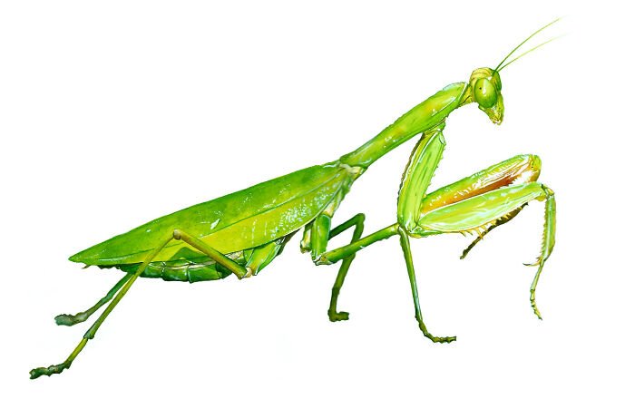 I Did This Thing For Work Years Ago, One Of My Best Works So Far