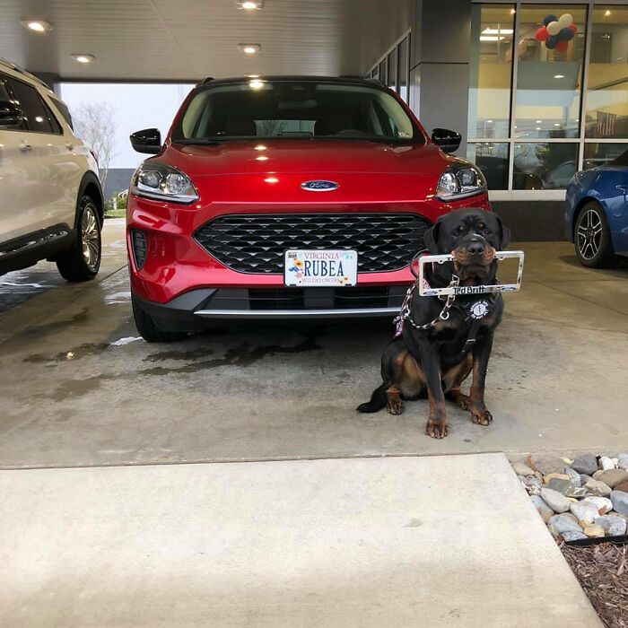 Did-It-For-My-Dog-Challenge-Fb