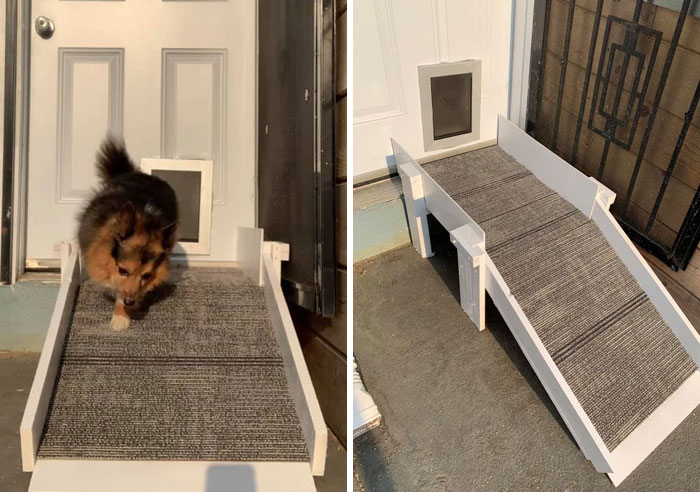 Did-It-For-My-Dog-Challenge-Fb