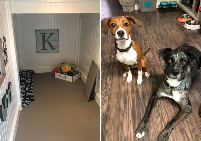 Did-It-For-My-Dog-Challenge-Fb