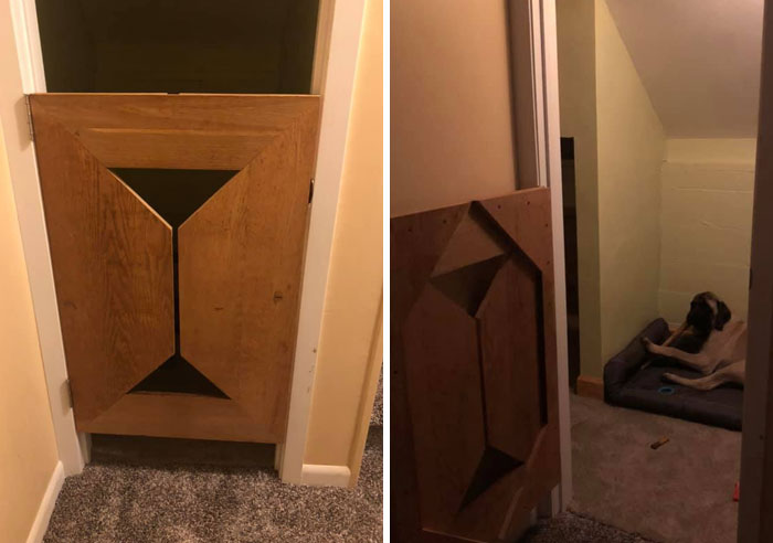 Did-It-For-My-Dog-Challenge-Fb