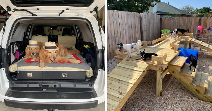 31 Dog Owners Show Off Some Of The Coolest Things They Did For Their Dogs In The “I Did It For My Dog” Challenge On Facebook