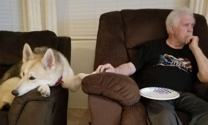 25 De las más reconfortantes respuestas al desafío «No quería un perro»