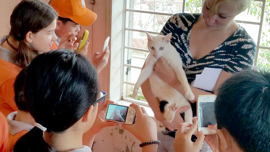 Vietnam's First Farm Sanctuary And Animal Rescue Helps All Kinds Of Animals Who Are Suffering From Cruelty And Neglect Vietnam's First Farm Sanctuary And Animal Rescue Helps All Kinds Of Animals Who Are Suffering From Cruelty And Neglect