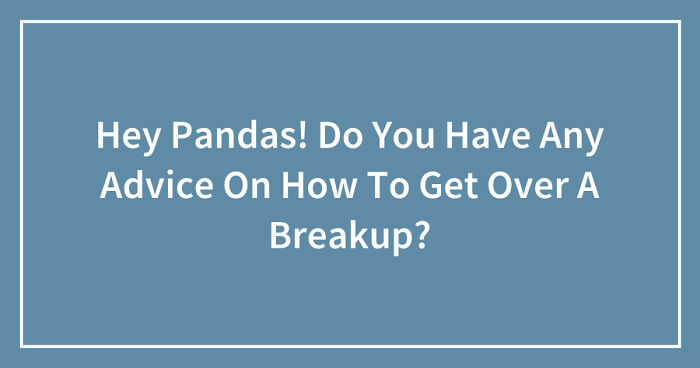 Hey Pandas! Do You Have Any Advice On How To Get Over A Breakup? (Ended)