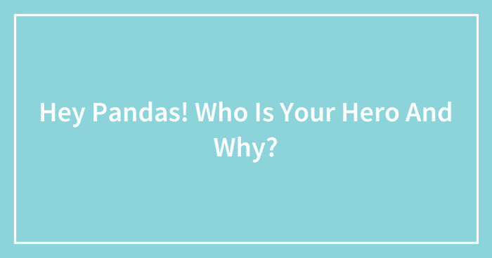 Hey Pandas! Who Is Your Hero And Why? (Closed)