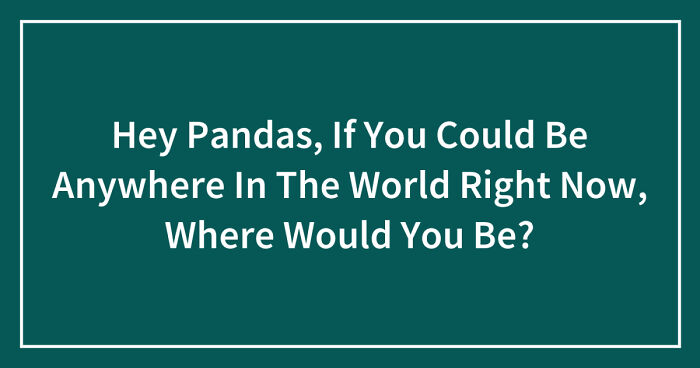 Hey Pandas, If You Could Be Anywhere In The World Right Now, Where Would You Be? (Closed)