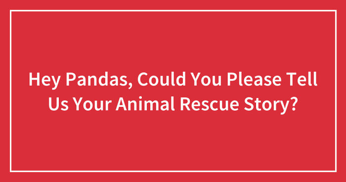 Hey Pandas, Could You Please Tell Us Your Animal Rescue Story? (Closed)