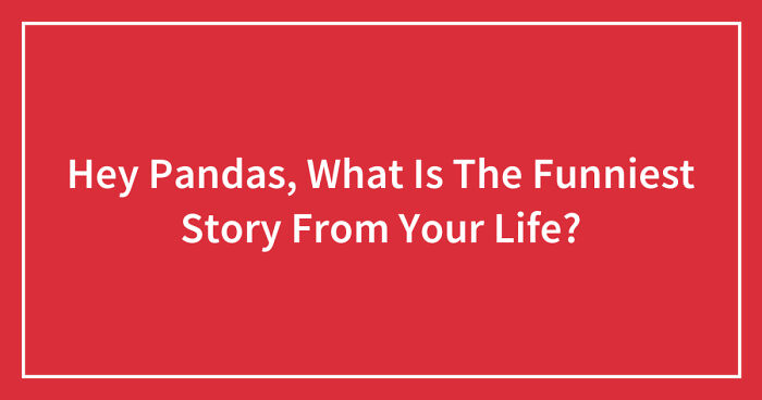 Hey Pandas, What Is The Funniest Story From Your Life? (Closed)