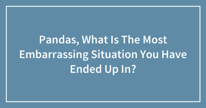 Pandas, What Is The Most Embarrassing Situation You Have Ended Up In? (Closed)