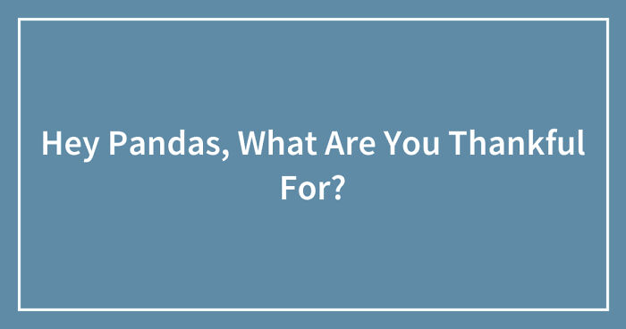 Hey Pandas, What Are You Thankful For? (Closed)