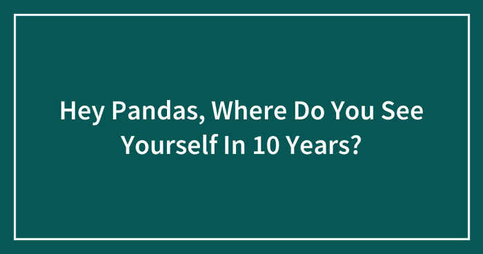 Hey Pandas, Where Do You See Yourself In 10 Years? (Closed)