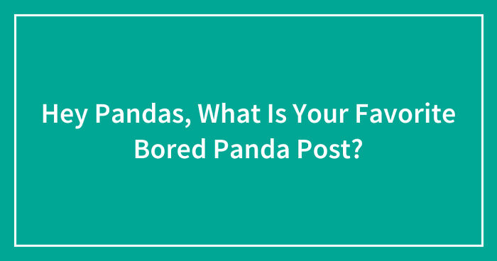 Hey Pandas, What Is Your Favorite Bored Panda Post? (Closed)