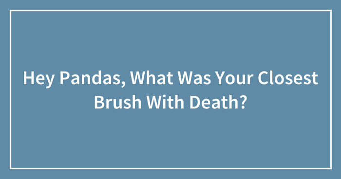 Hey Pandas, What Was Your Closest Brush With Death? (Closed)