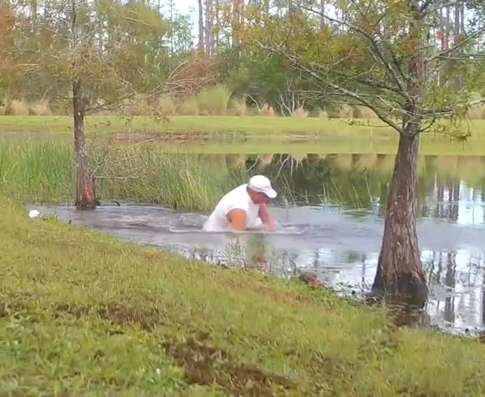 74 Y.O. Florida Man Wrestles Alligator To Save His 3 M.O. Puppy