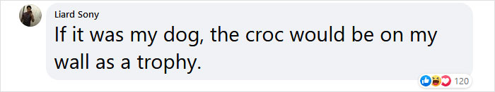 74 Y.O. Florida Man Wrestles Alligator To Save His 3 M.O. Puppy 74 Y.O. Florida Man Wrestles Alligator To Save His 3 M.O. Puppy