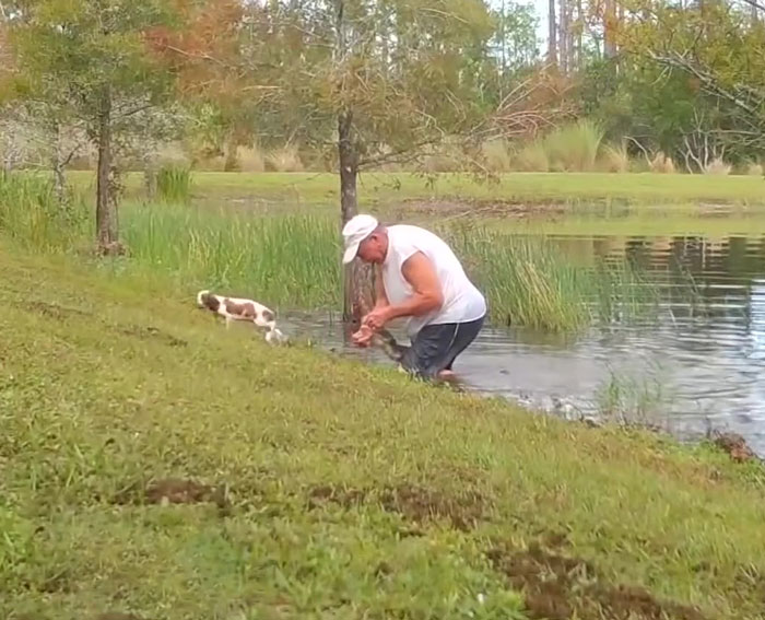 74 Y.O. Florida Man Wrestles Alligator To Save His 3 M.O. Puppy 74 Y.O. Florida Man Wrestles Alligator To Save His 3 M.O. Puppy