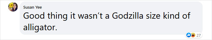 74 Y.O. Florida Man Wrestles Alligator To Save His 3 M.O. Puppy 74 Y.O. Florida Man Wrestles Alligator To Save His 3 M.O. Puppy