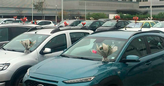 This Florist Places Hundreds Of Bouquets On Caregivers’ Cars In A Hospital Parking Lot After Being Forced To Throw Away Unsold Flowers