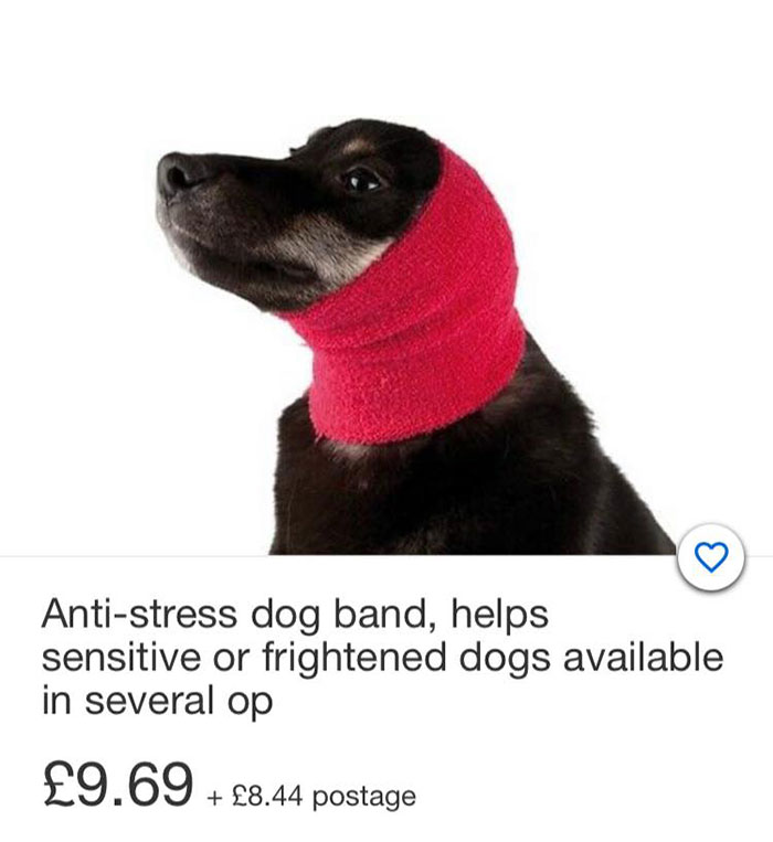 Here's A Quick Life Hack To Calm Stressed Pets During Fireworks Using Just A Pair Of Socks Here's A Quick Life Hack To Calm Stressed Pets During Fireworks Using Just A Pair Of Socks