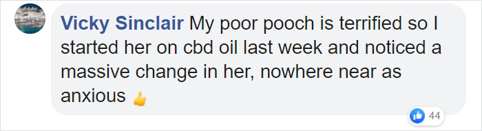 Here's A Quick Life Hack To Calm Stressed Pets During Fireworks Using Just A Pair Of Socks