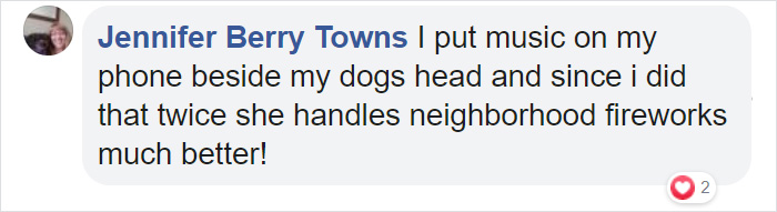 Here's A Quick Life Hack To Calm Stressed Pets During Fireworks Using Just A Pair Of Socks