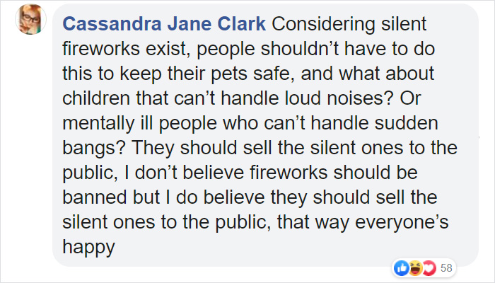 Here's A Quick Life Hack To Calm Stressed Pets During Fireworks Using Just A Pair Of Socks