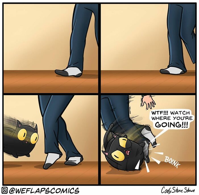 Cat Comics