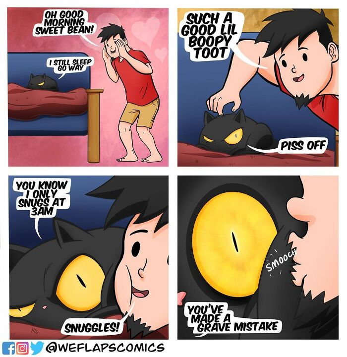Cat Comics