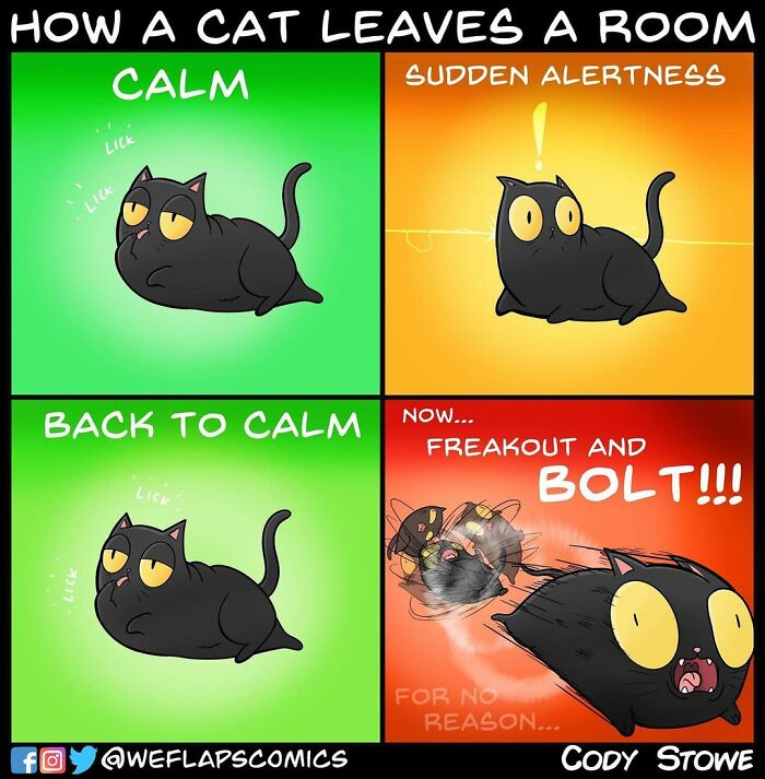 Cat Comics