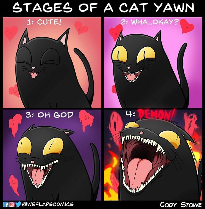 Cat Comics