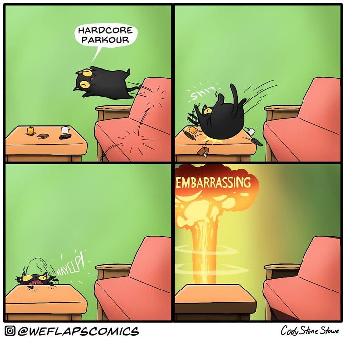 Cat Comics