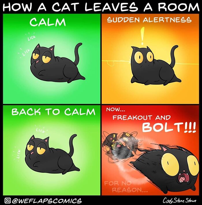 Cat Comics