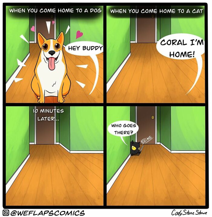 Cat Comics