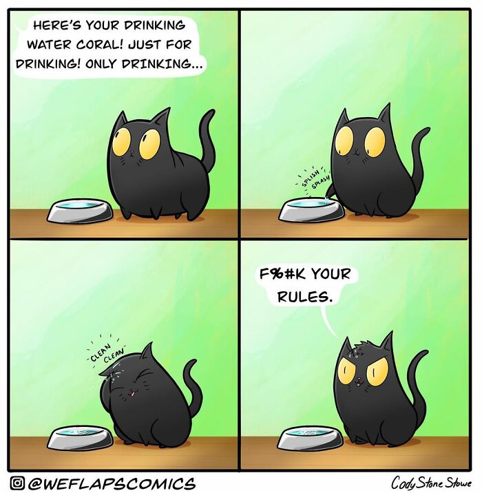Cat Comics