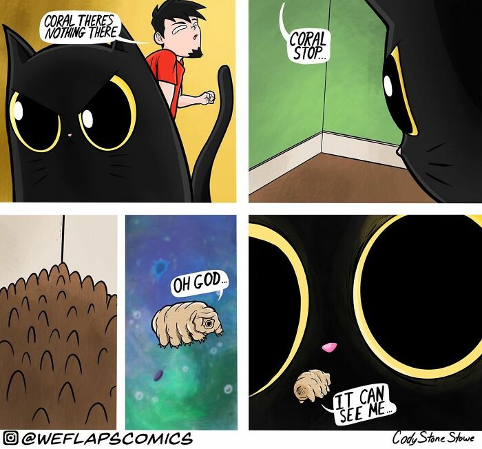Cat Comics