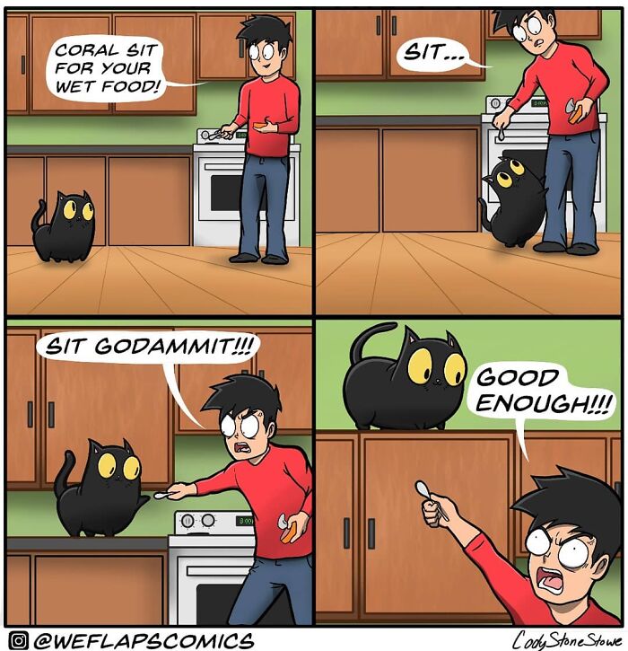 Cat Comics